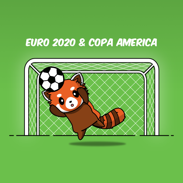 img1629271978 who is watching euro2020 or copa america